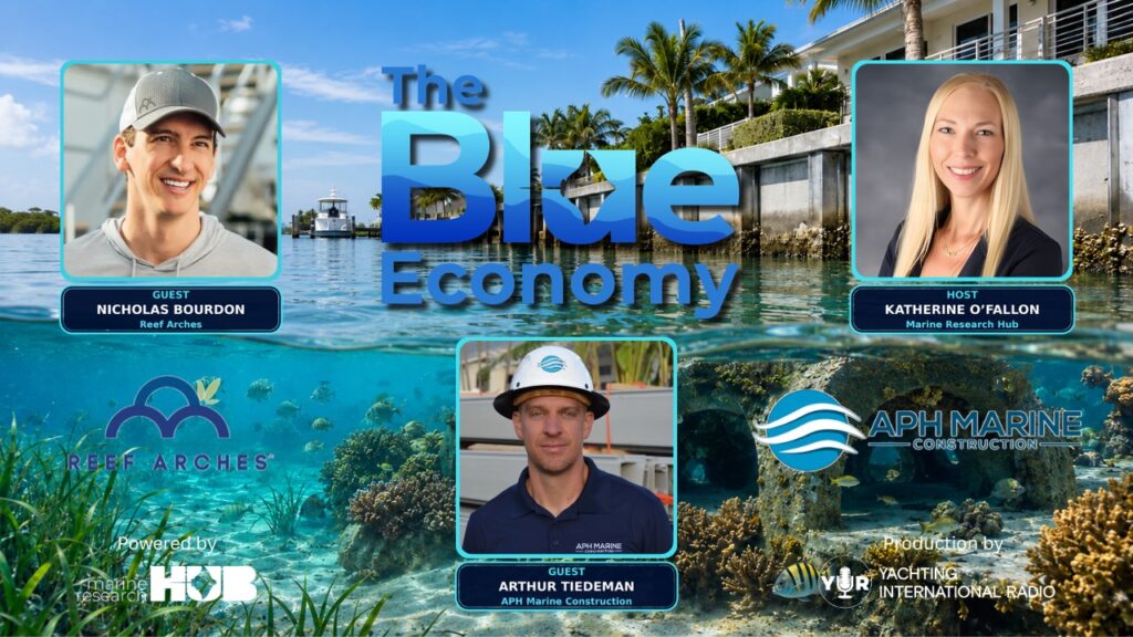  Reef Arches and Hybrid Seawalls | Nicholas Bourdon & Arthur Tiedeman | The Blue Economy