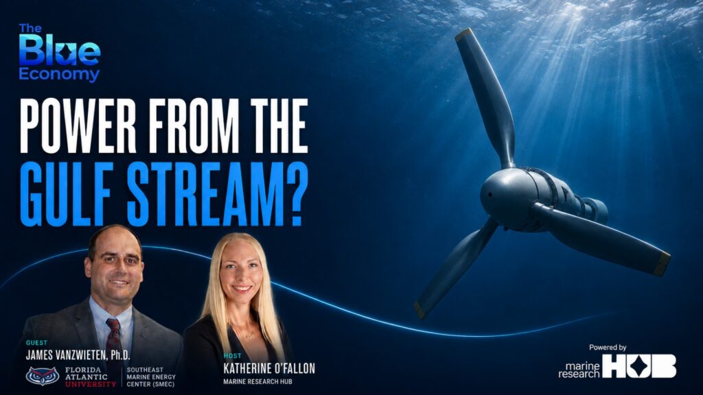 Can the Gulf Stream Power Florida? The Future of Marine Renewable Energy | The Blue Economy